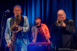 Dr. Mablues & the Detail Horns