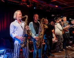 Dr. Mablues & the Detail Horns