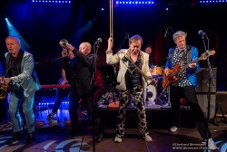 Dr. Mablues & the Detail Horns