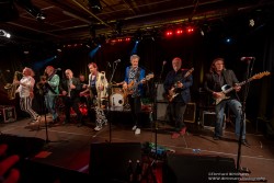 Dr. Mablues & the Detail Horns
