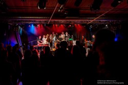 Dr. Mablues & the Detail Horns