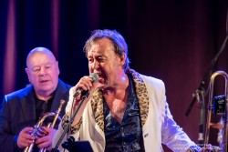 Dr. Mablues & the Detail Horns