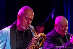 Dr. Mablues & the Detail Horns