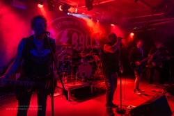 Big Balls   Die ACDC-Party