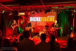 Die Dicke Fische im Pavillon der IG Kultur in Sindelfingen, Bilder aufgenommen am 10.10.2026 von Eberhard Weinmann