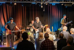 The Hamburg Blues Band