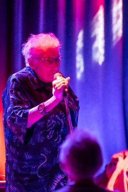 The Hamburg Blues Band