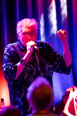 The Hamburg Blues Band