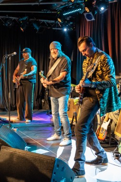 The Hamburg Blues Band