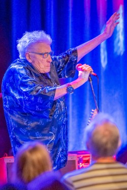 The Hamburg Blues Band