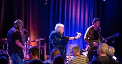 The Hamburg Blues Band