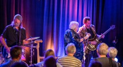 The Hamburg Blues Band