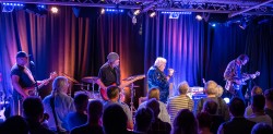 The Hamburg Blues Band