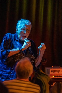 The Hamburg Blues Band