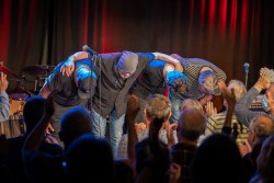 The Hamburg Blues Band