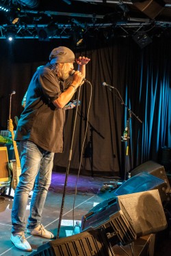 The Hamburg Blues Band
