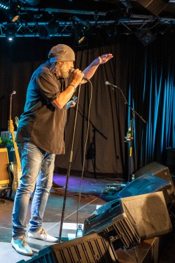 The Hamburg Blues Band