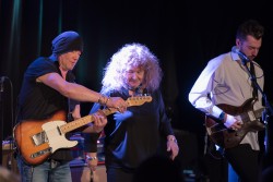 Hamburg Blues Band