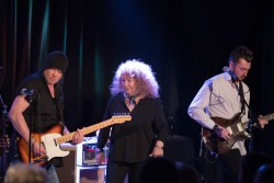 Hamburg Blues Band