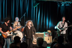 Hamburg Blues Band