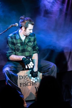 Dicke Fische