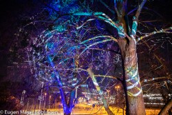 Lange Nacht der Museen