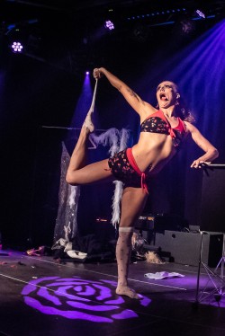 Hotel Burlesque